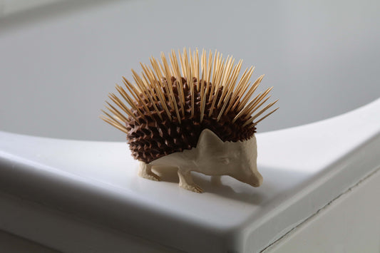 Hedgehog Bathroom Toothpick Storage Unit